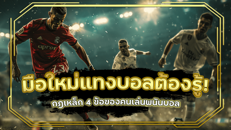 มือใหม่